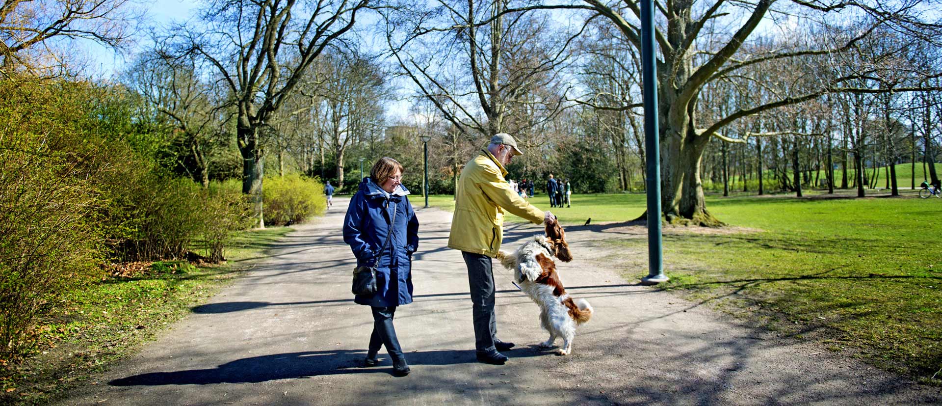 Elder couple walking in a park with a dog 