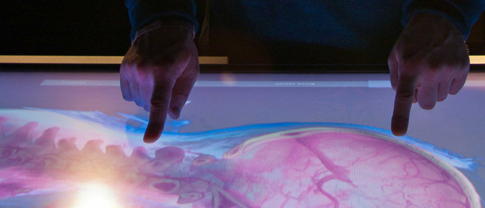 Fingers touching an interactive screen